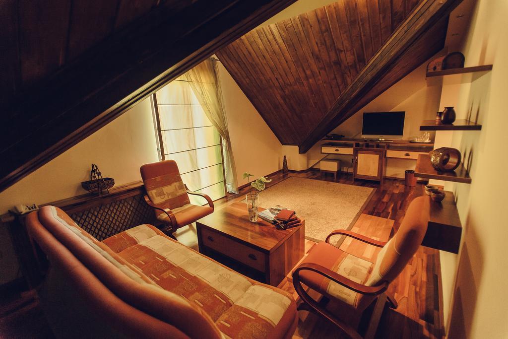 ホテル Denisa Boutique ポイアナ・ブラショフ 部屋 写真